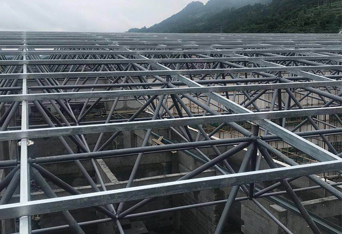 南通学校艺体楼网架